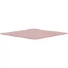 Thermal Grizzly Minus Pad 8 - 100 x 100 x 1,0 mm, 2 unidades
