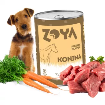 ZOYA cavalo - comida húmida para cães - 400g