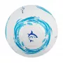 Bola de futebol White Shark TB-001 Dribbler 32 painéis tamanho 5
