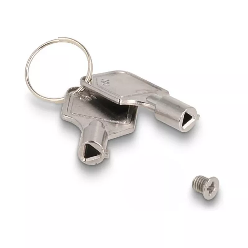 Delock - Rack de armazenamento móvel - baía fina - 5,25 para 2 x 2,5 (13,3 cm para 2 x 6,4 cm) - preto (47019)