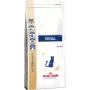 Royal Canin VHN Cat Renal ração seca para gatos, 2 kg