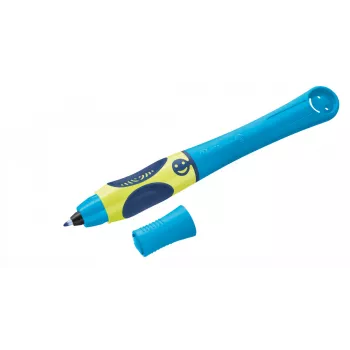 Caneta de tinta permanente Pelikan 820448
