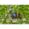 Gardena 13315-20 ferramenta de jardim 15 L preto