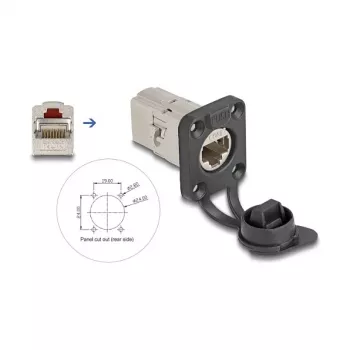 DeLOCK 67061 tomada de embutir D-Type RJ45 Cat.6A STP com tampa de proteção, IP66