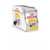 Royal Canin CCN Dermacomfort Loaf alimento húmido para cães, embalagem de 12 x 85 g