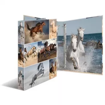 Dossier A4 HERMA 19360 multicolor