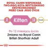 Ração seca para gatos Royal Canin British Shorthair Kitten 2 kg – frango, 38% proteína, 20% gordura, fórmula de crescimento