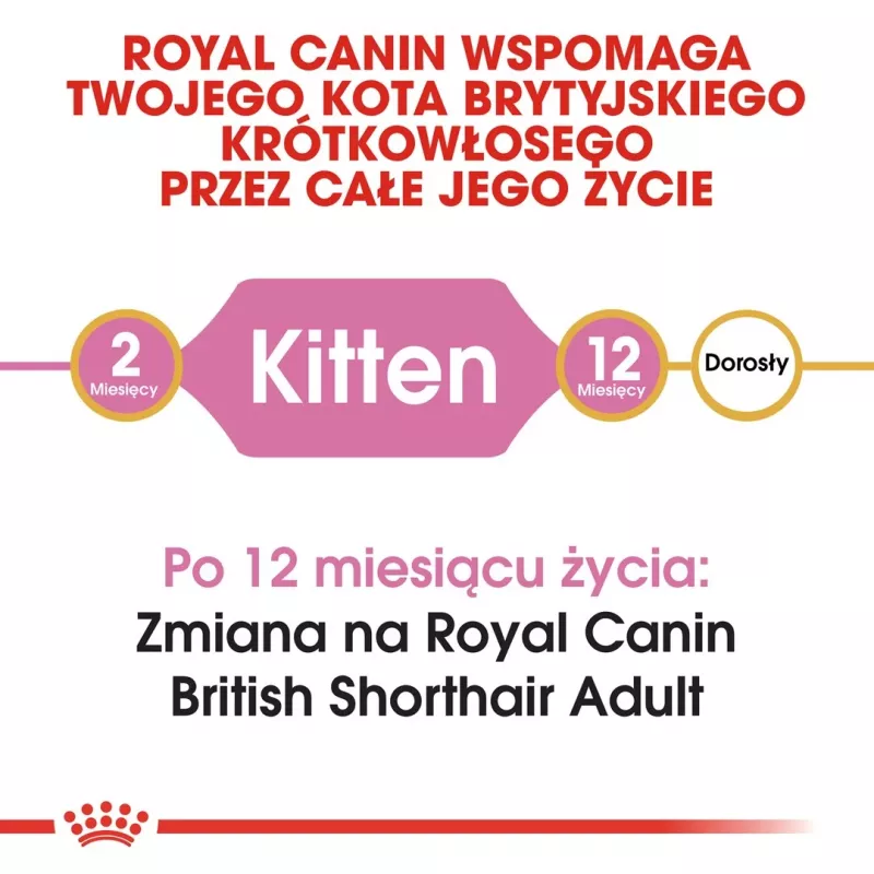 Ração seca para gatos Royal Canin British Shorthair Kitten 2 kg – frango, 38% proteína, 20% gordura, fórmula de crescimento