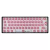White Shark Roserift interruptores mecânicos para teclado, 25 unid.