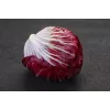 Sementes de hortícolas alface chicória Palla Rossa 3 Toraf, pacote 5g