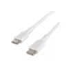Cabo USB Belkin BoostCharge 1m USB-C branco USB 2.0