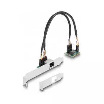 DeLOCK 95271 Placa de rede interna 2500 Mbit/s Mini PCI Express