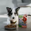 ANIMAL ISLAND Everyday Monoproteico vitela - comida húmida para cães - 300g