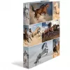 Dossier A4 HERMA 19360 multicolor