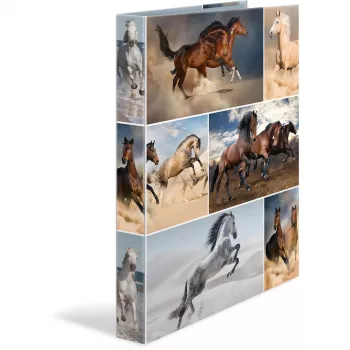 Dossier A4 HERMA 19360 multicolor
