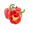 PNOS pimento Jolanta sementes de hortícolas, 0,5 g