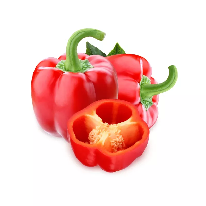 PNOS pimento Jolanta sementes de hortícolas, 0,5 g