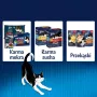 Felix Fantastic Coelho, Cordeiro - comida húmida para gatos 340 g (4x 85 g)