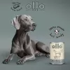 OLLO Pure Horse - Ração húmida para cães - 400g