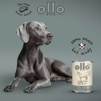 OLLO Pure Horse - Ração húmida para cães - 400g