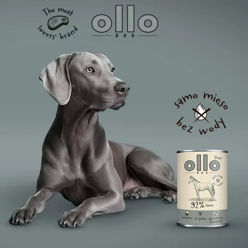 OLLO Pure Horse - Ração húmida para cães - 400g