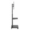 Suporte de chão para TV Gembird TVS-75S-02 com rodas, 37 - 75, preto