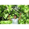 Tesoura de poda com bigorna PowerGear Fiskars L77