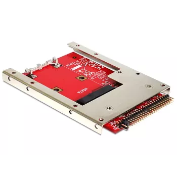 Adaptador mSATA interno DeLOCK 62495