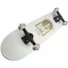 Skate Ligat bright (bege/castanho)
