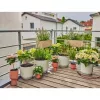 Sistema de rega gota a gota Gardena 13401-20 comprimento do tubo 20 m