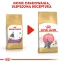 Ração seca para gatos Royal Canin British Shorthair Kitten 2 kg – frango, 38% proteína, 20% gordura, fórmula de crescimento