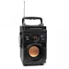 Altifalante Bluetooth 5.1 Squeak Bassblaster, rádio FM, leitor MP3 SQ1001