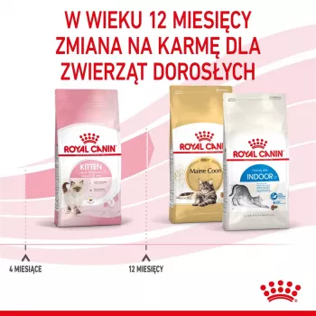 Ração seca para gatos Royal Canin Kitten 4 kg aves — ração seca júnior, 36% proteína, 18% gordura