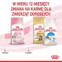 Royal Canin FHN Kitten ração seca para gatinhos, 4 kg