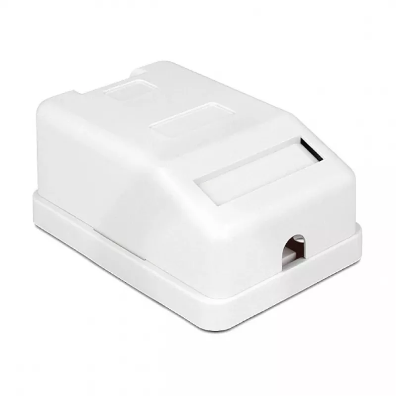 Delock 86235 caixa de superfície Keystone, 1 porta, com proteção contra o pó, branca