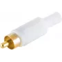shiverpeaks BS51400-WG conector de cabo RCA branco (BS51400-WG)