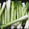 PNOS alho-francês Starozagorski Kamush sementes de hortícolas, 1 g