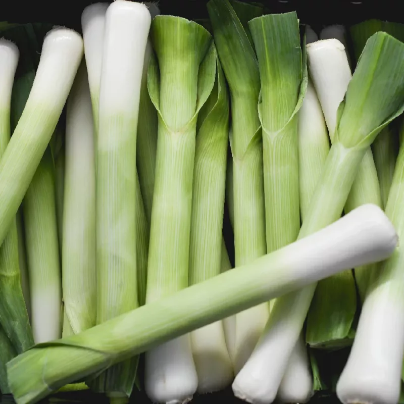 PNOS alho-francês Starozagorski Kamush sementes de hortícolas, 1 g