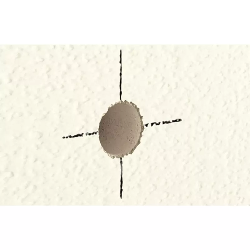 fischer ESPÁTULA DE REPARAÇÃO - metal - plástico - madeira - universal - teto - parede - branco - bisnaga - 70 ml
