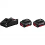 Conjunto de bateria/carregador Bosch 1 600 A01 9S0