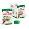 Comida húmida Royal Canin Mini Ageing 12+ Adult 85 g saqueta — raças pequenas, aves, sénior