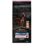 PURINA Sensitive Skin Large Athletic Adult Salmon - comida seca para cães - 14 kg