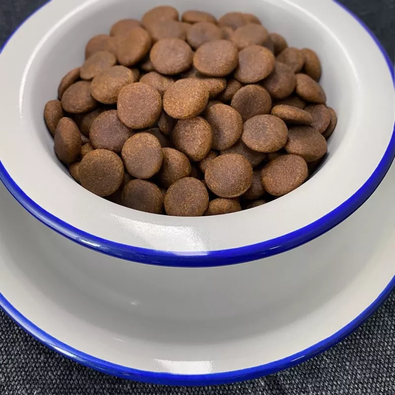 FOLK raças médias e grandes tradicional pato da Grande Polónia com coelho, maçãs e manjerona - comida seca para cães - 12 kg