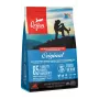 ORIJEN Dog Original - comida seca para cães - 2 kg