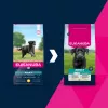 Ração seca para cães EUKANUBA Adult Large Chicken 15 kg — ração seca para cães adultos de raças grandes, frango, 15 kg