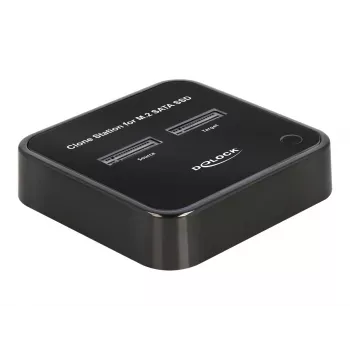 Docking station DeLOCK 64178 USB 3.2 Gen 2 Type-C SSD M.2