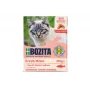 Bozita Feline salmão