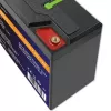 Bateria de lítio-ferro-fosfato LiFePO4 Qoltec 53702 | 12,8V | 24Ah | 307,2Wh | BMS