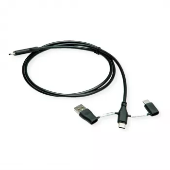 Cabo USB 2.0 ROLINE Type-C macho/macho com adaptadores de bloqueio de dados A e C - cabo - digital/dados