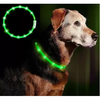 Coleira LED Anicoll verde para cães e gatos modelo iluminação recarregável
